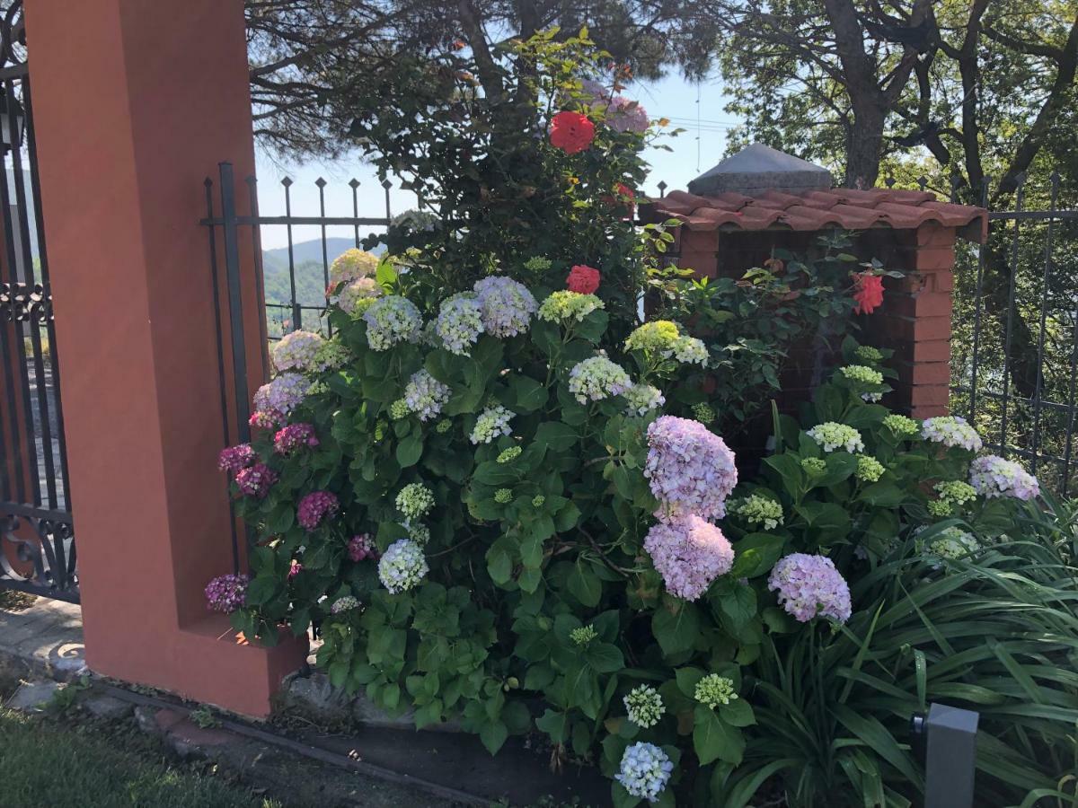 Locanda Costa Otto.Zero San Martino  Eksteriør billede